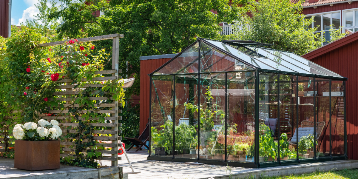 Pas på dine planter: Sådan køler du drivhuset ned, hvis det er for varmt