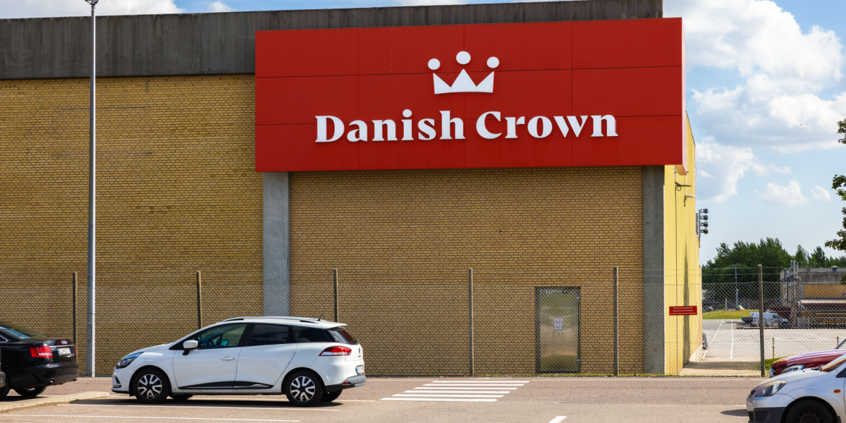 1200 mister deres arbejde: Danish Crown lukker slagteri