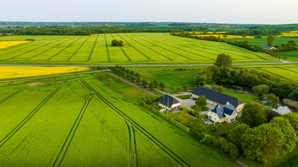 Ny tal skaber bekymring: Landbrugsproduktionen stiger men bønderne er på tilbagetog