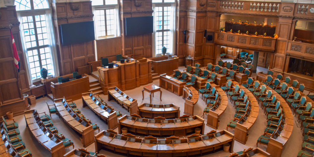 Danmark har fået et nyt parti: Dette kæmper “Demokraterne” for