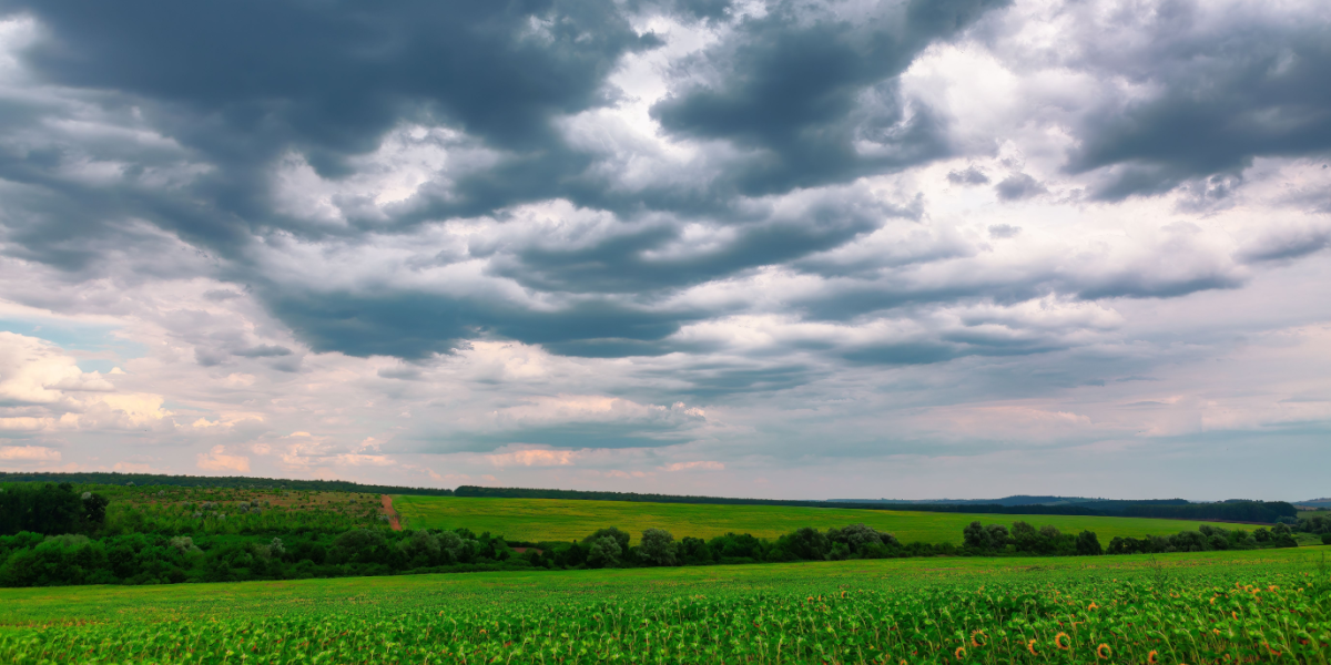 Minder ikke ligefrem om sommer: Sådan bliver vejret frem til weekenden