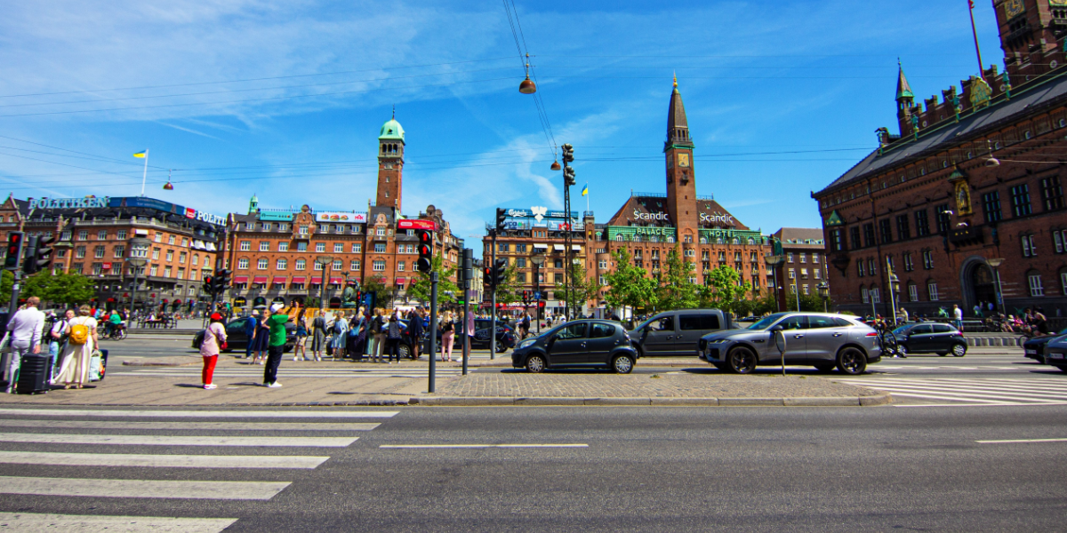 Fra 11,5 til 3,7 procent: Så mange kommunalt ansatte er akademikere i din kommune