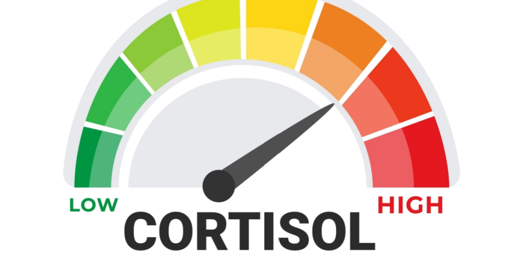 13 tegn på, du har et for højt kortisolniveau, ifølge neuroforsker
