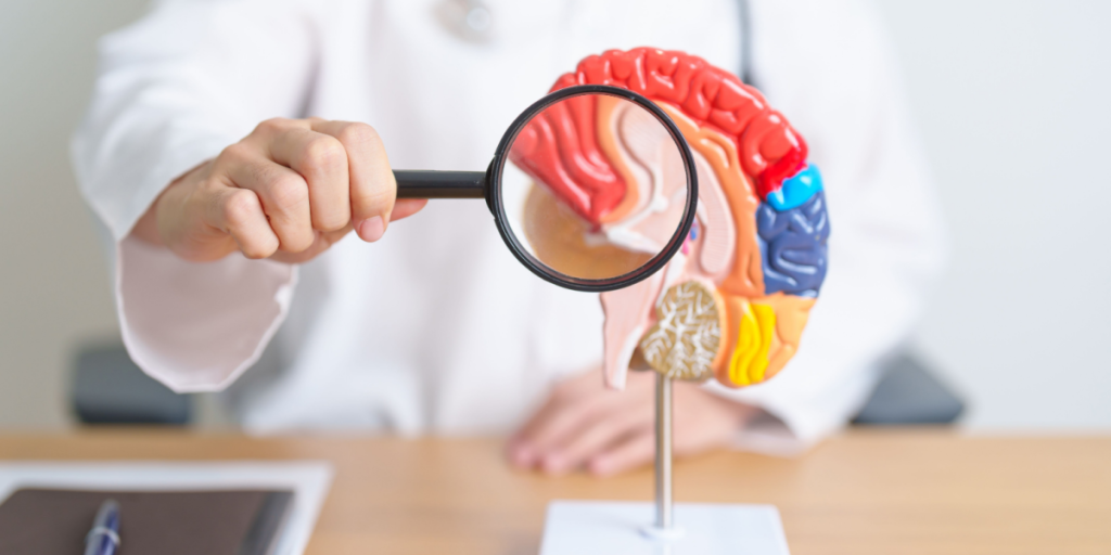 Videnskabeligt gennembrud: Alzheimers kan muligvis “omvendes”