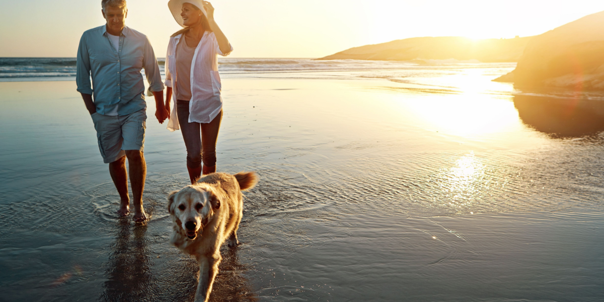 Pas på “haves hugorm”, hvis du skal i vandet: Farlig for både dyr og mennesker