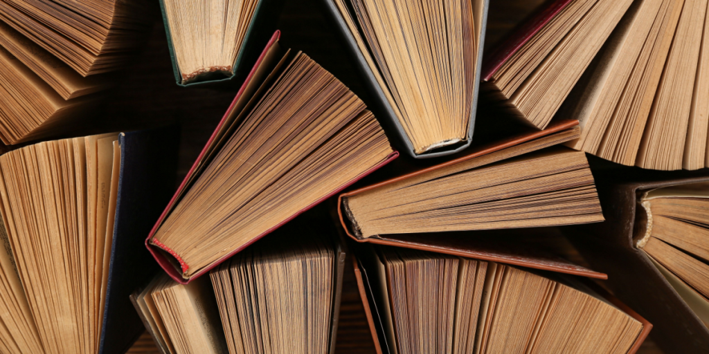 Første gang i 20 år: Litteraturkanonen skal opdateres