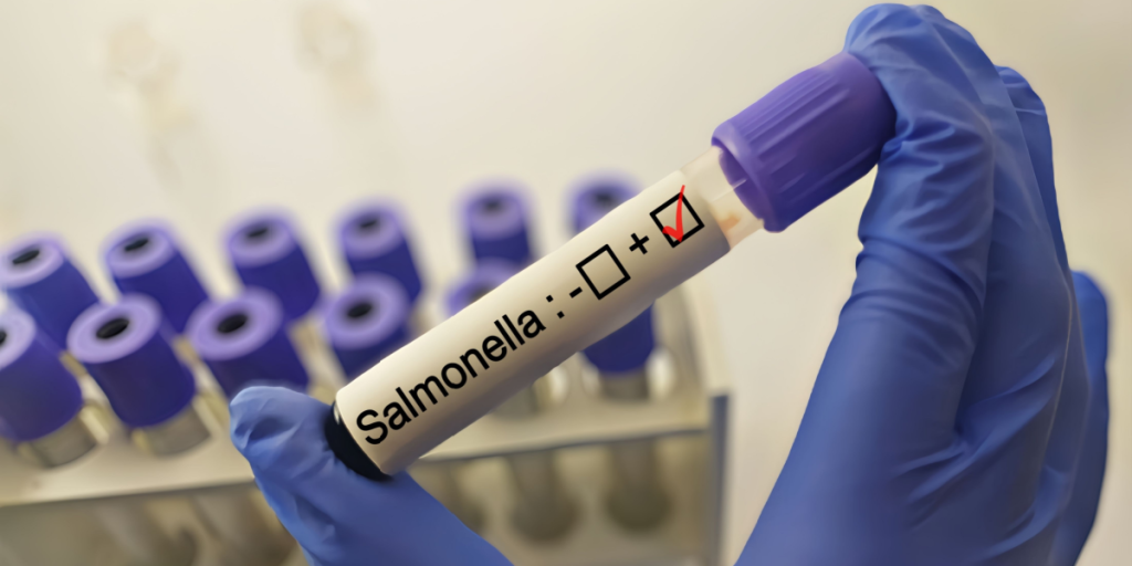 22 danskere smittet med salmonella: Nu er smittekilden fundet