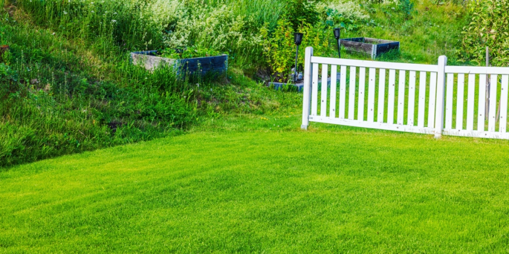 Havetips: 5 ting du bør gøre i haven i september