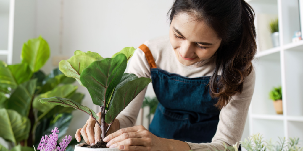Sådan holder du dine stueplanter sunde: 4 smarte tricks