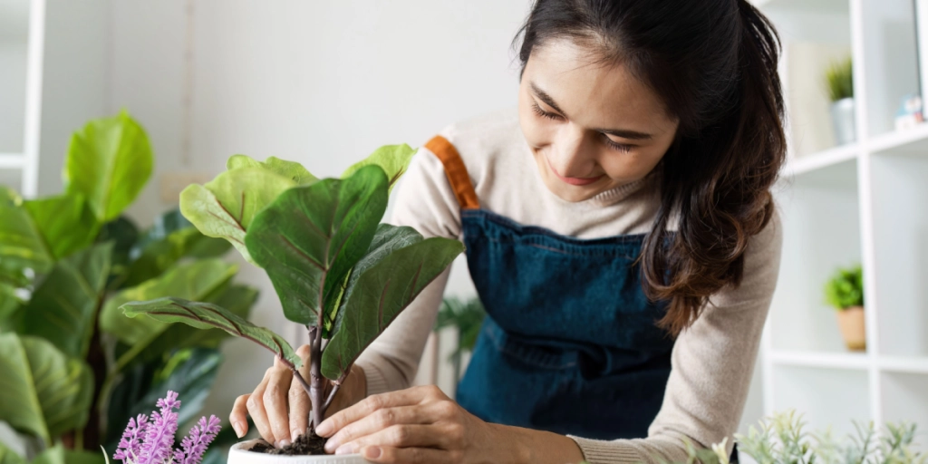 Sådan holder du dine stueplanter sunde: 4 smarte tricks