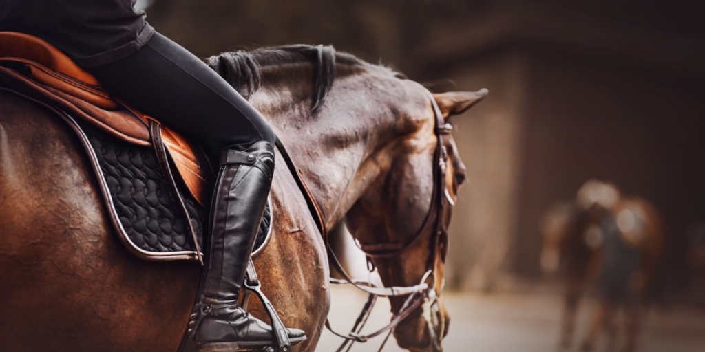 Dyrenes Beskyttelse vil have bedre forhold i ridesporten