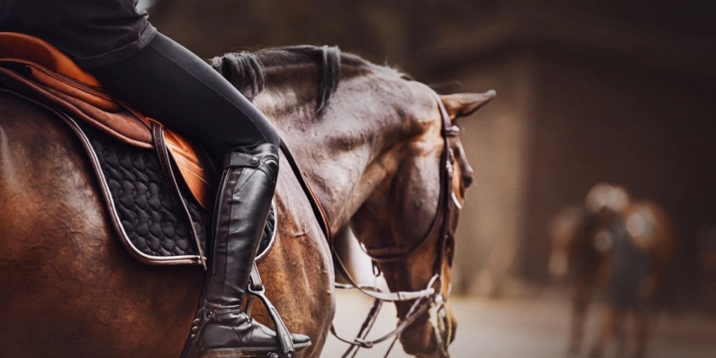 Dyrenes Beskyttelse vil have bedre forhold i ridesporten