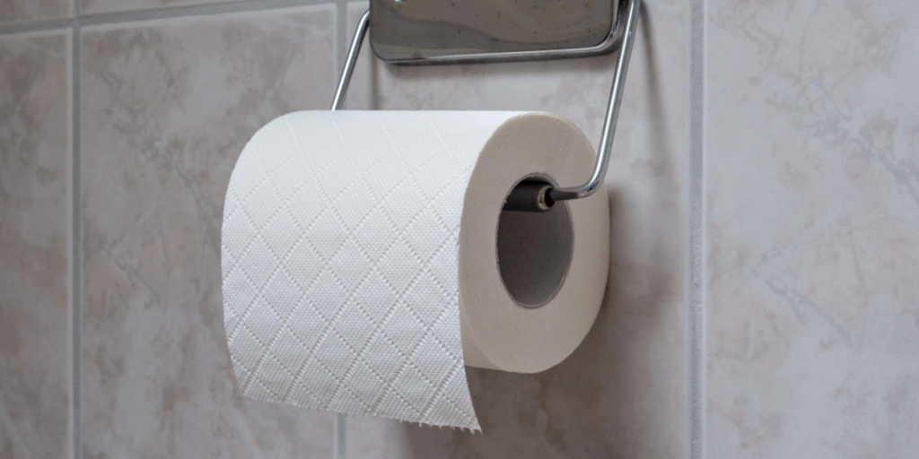 Forskere advarer efter studie: Vi bør erstatte toiletpapiret