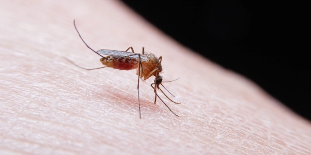 Bekymrende ekspertmelding: Bliver stigende sundhedsrisiko i Danmark