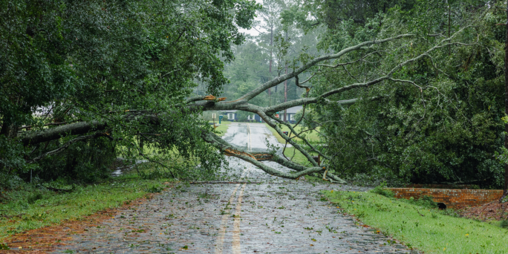 Kraftig regn og vindstød af stormstyrke: Sådan gør du dig klar til voldsomt vejr i dag