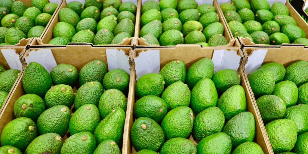 Slut med umodne avocadoer? Coop tester ny maskine