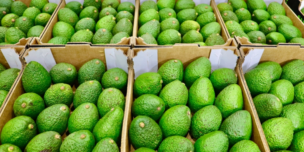 Slut med umodne avocadoer? Coop tester ny maskine