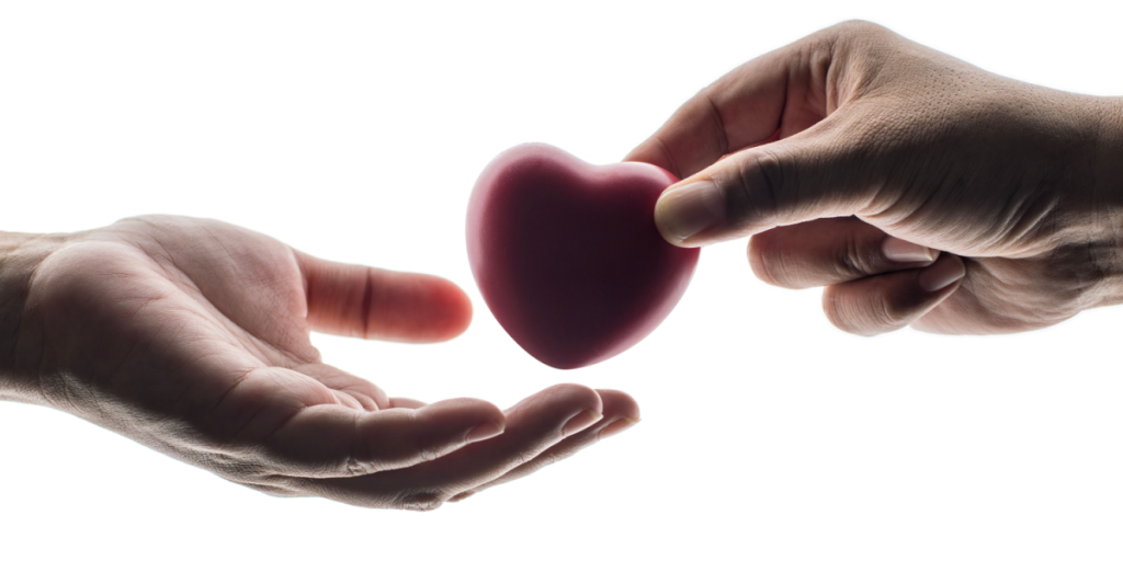 Det Etiske Råd: Uklart, hvad der faktisk ændres ved nyt lovforslag om organdonation