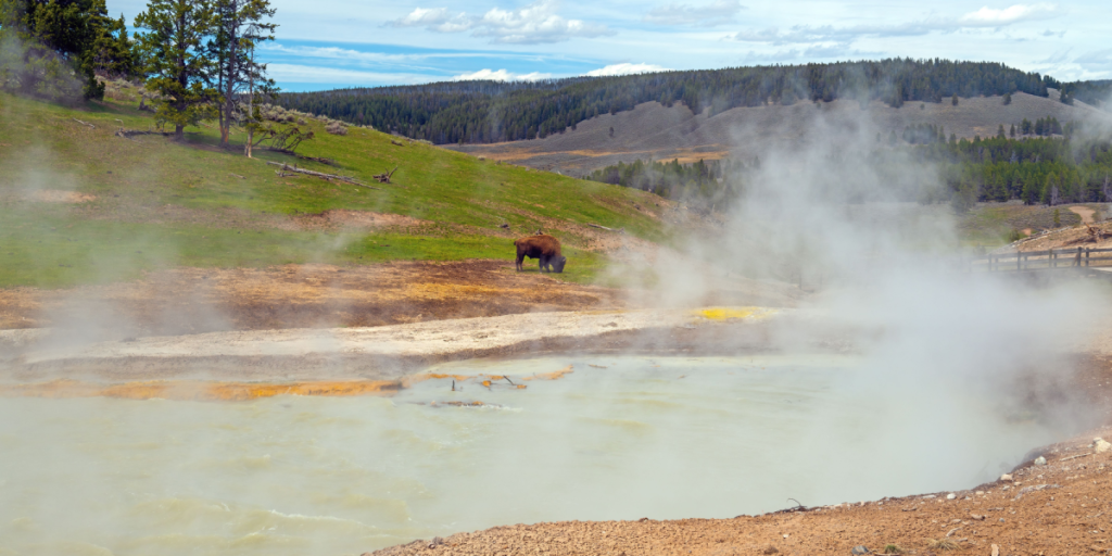 Tankeeksperiment: Hvad ville der ske, hvis Yellowstone gik i udbrud?