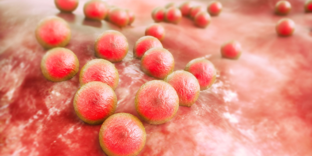 Forskere med skræmmende opdagelse: Antibiotikaresistens kan sprede sig uforudsigeligt i naturen