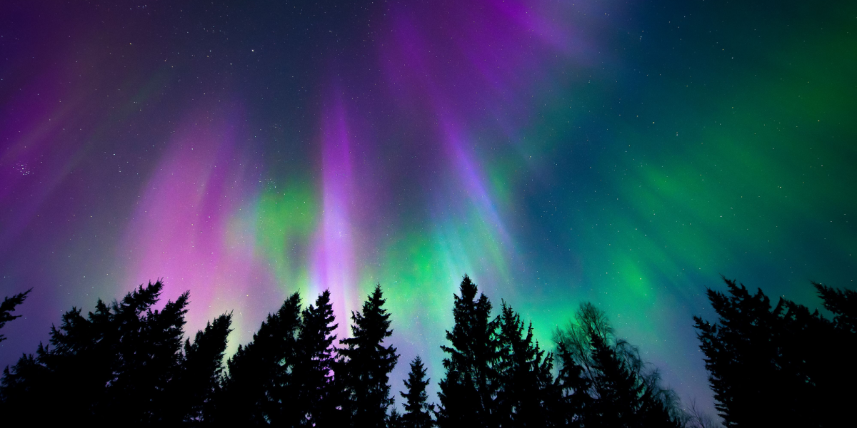 Nordlys over Danmark: Denne dag får vi de optimale betingelser