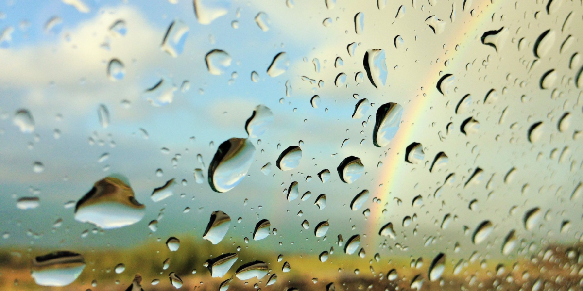 Regn på vej: Sådan bliver vejret de næste dage