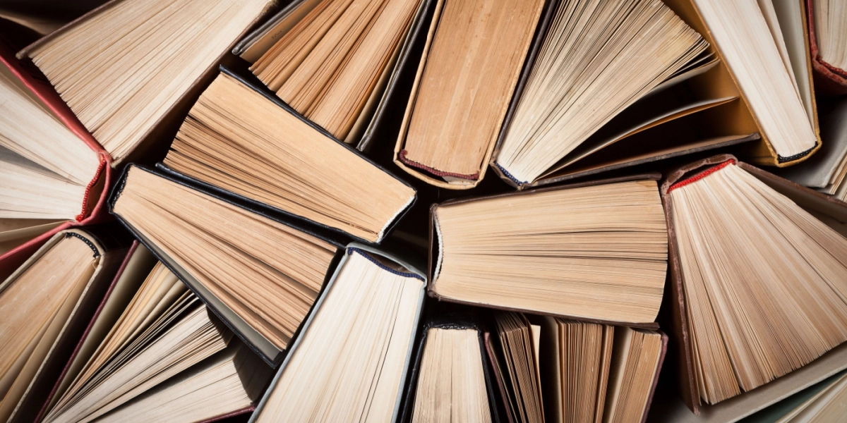 Bibliotekspengene er fordelt: Denne forfatter får 725.487 kroner