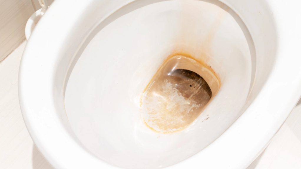 Virker på 1 time og kræver ingen indsats: Prøv dette trick mod toiletkalk