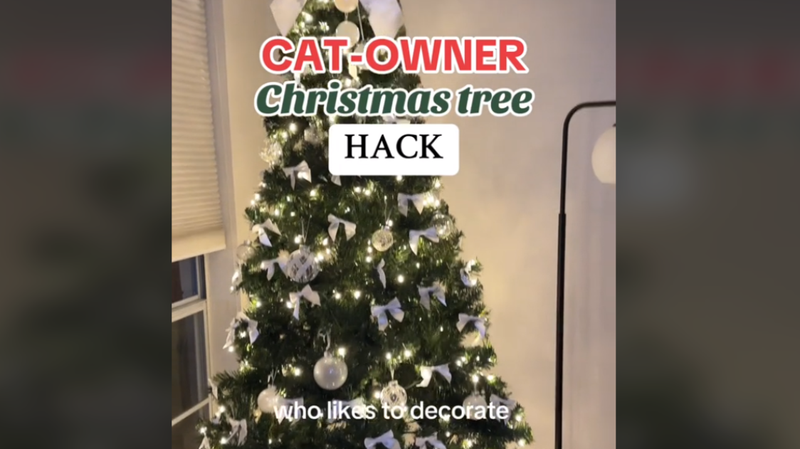 Er katten lidt for vild med juletræet? Sådan holder du den væk