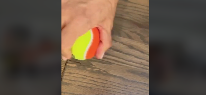 Tennisbolde er overraskende effektive: Genialt tip til at fjerner mærker på gulvet