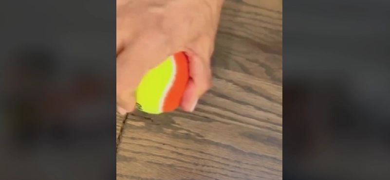 Tennisbolde er overraskende effektive: Genialt tip til at fjerner mærker på gulvet