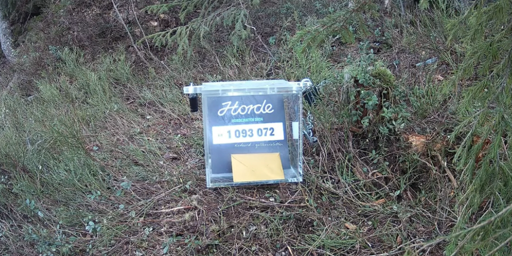 En ægte skattejagt: Har gemt 1 mio. kroner, og de er dine, hvis du finder dem