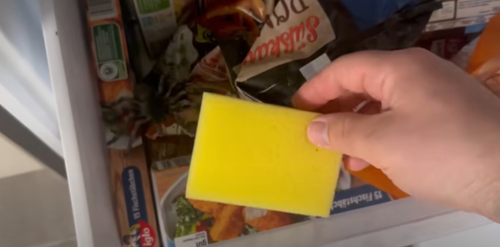 Få kender dette smarte trick: Her er grunden til, at du skal lægge en våd køkkensvamp i fryseren