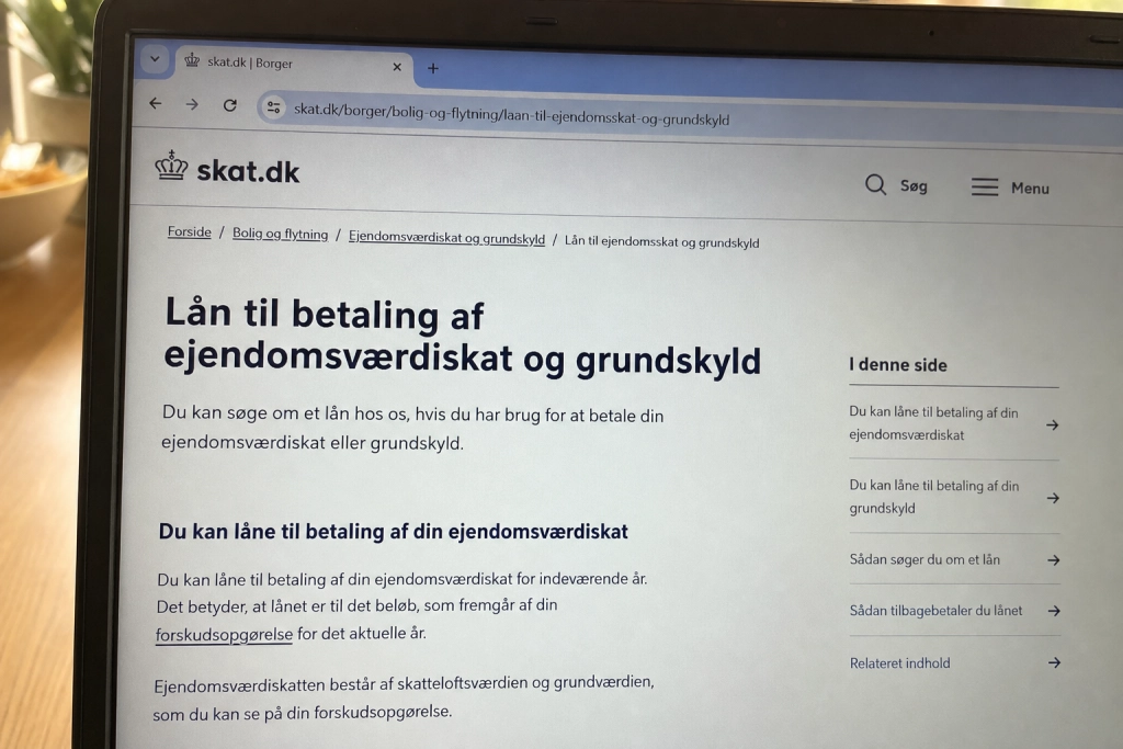 Automatisk lån til stigende grundskyld: Boligejere har til nytår til at sige nej