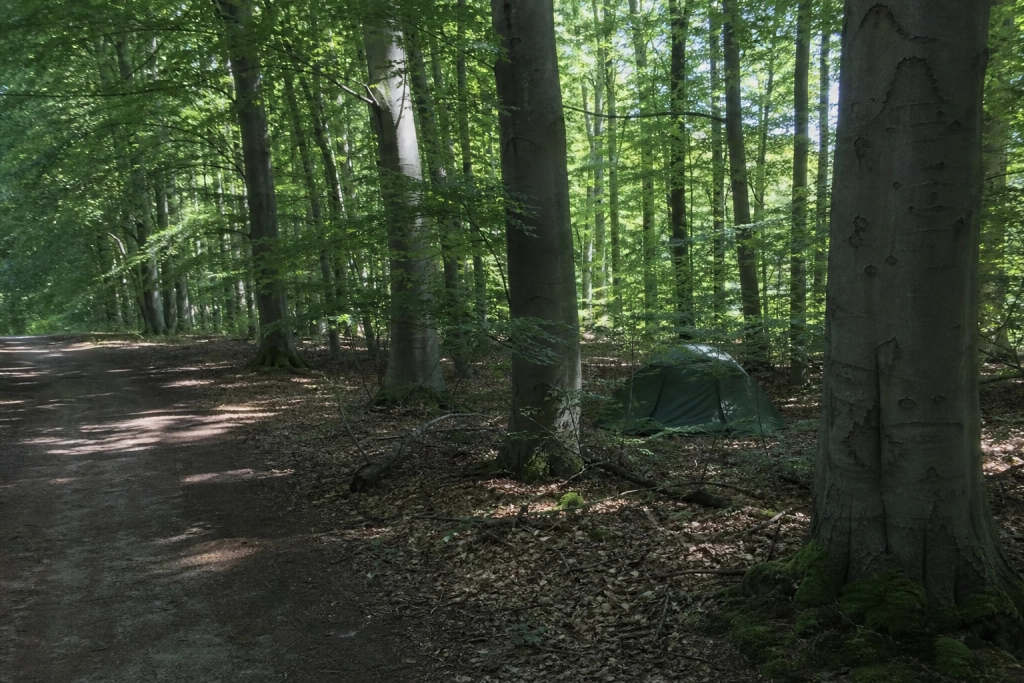 Må du slå telt op ved stranden eller i skoven? Her er, hvad Naturbeskyttelsesloven siger